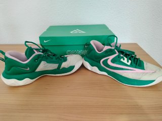 Zapatillas balocesto Nike Giannis Inmortality 3