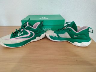Zapatillas balocesto Nike Giannis Inmortality 3