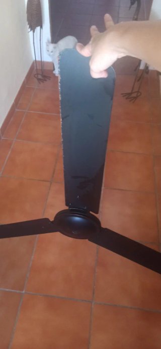 Ventilador de techo negro grande, da mucho aire