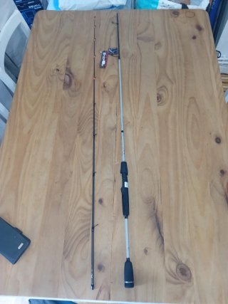 Caña de pesca Eging