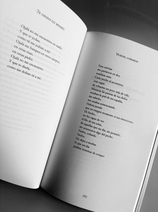 Hasta que deje de quererte - Libro de Poesía