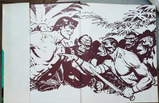 Fumetto Tarzan Il Re Della Giungla – Mondadori