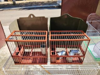 Lote jaulas para hamster y pájaros