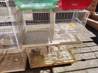 Lote jaulas para hamster y pájaros