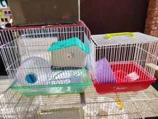 Lote jaulas para hamster y pájaros