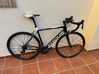 Focus Cayo Talla 53