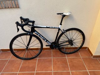 Focus Cayo Talla 53