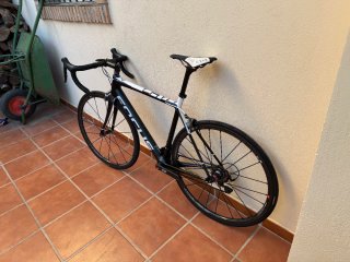 Focus Cayo Talla 53