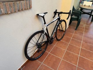 Focus Cayo Talla 53