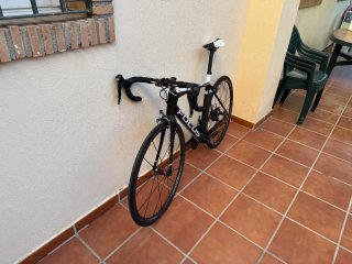 Focus Cayo Talla 53