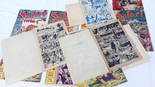 Comic SAFARI x15 (Ricart) Originales