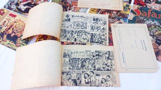 Comic SAFARI x15 (Ricart) Originales