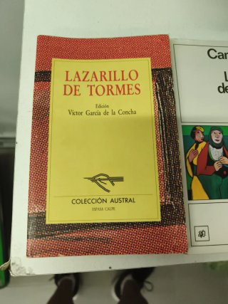 Novelas, sí amigo, yo fui a la EGB