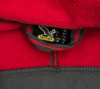 Giacca Salewa Softshell Alpinextreme Grigia