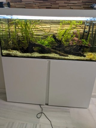 Acuario con mueble y filtro