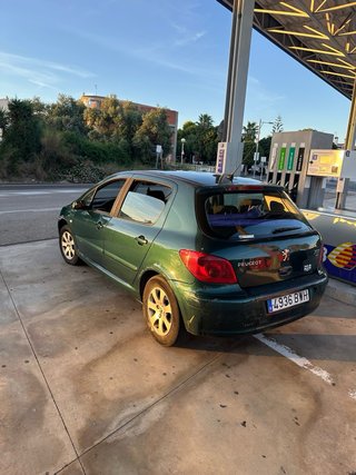 Peugeot 307 2002
