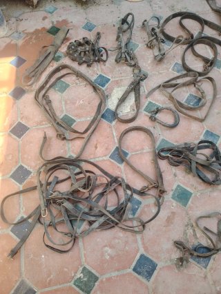 Aperos de cuero para caballos o decoración