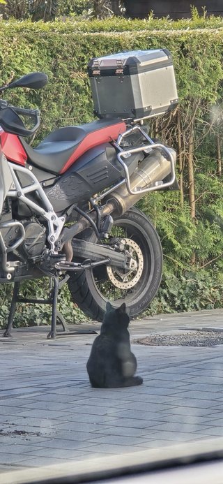 BMW F 800 GS Adventure