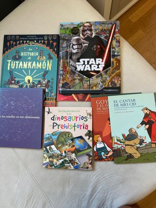 Lote libros juveniles, precio por el lote