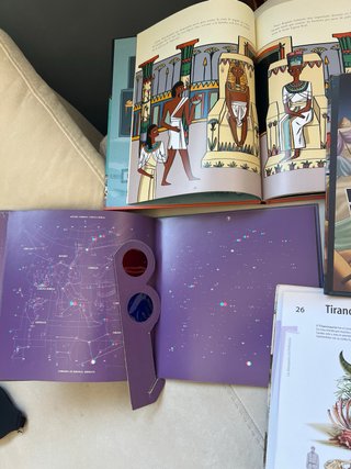 Lote libros juveniles, precio por el lote