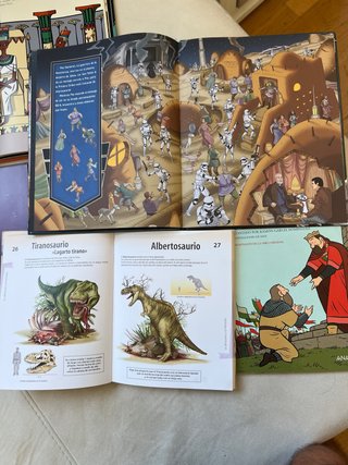 Lote libros juveniles, precio por el lote