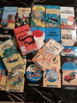 21 VHS Tintín en Catalán