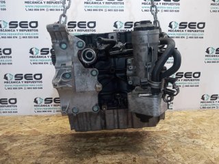 Bloque VOLKSWAGEN PASSAT BERLINA (3C2)