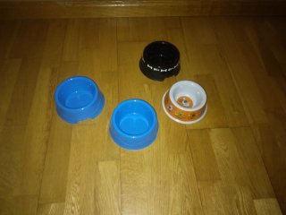 Accesorios para perros
