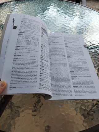 Diferent. 1º Ciclo Eso. Diccionario Ingles-espa...