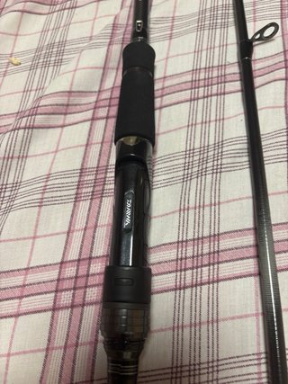 Caña Daiwa Labrax AGS 90M