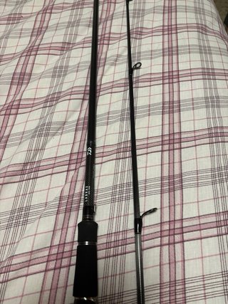 Caña Daiwa Labrax AGS 90M