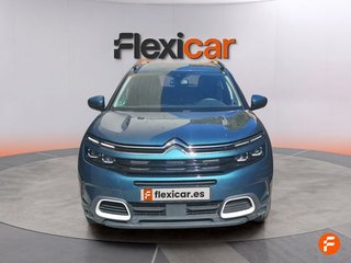 Citroën C5 Aircross BlueHdi 132kW (180CV) S&S EAT8 Shine