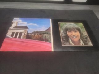 Vinilo Carpenters Now & Then