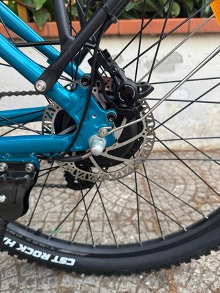 E-Bike EMotorad T-Rex Pro - Motore 250W - Batteria