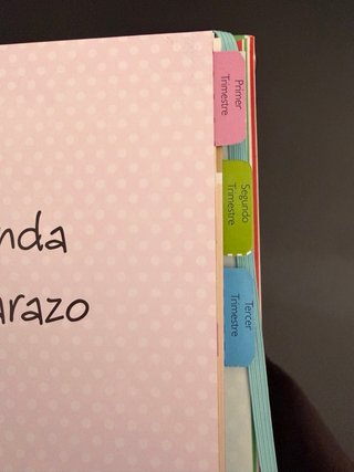 Agenda del embarazo TIKAL