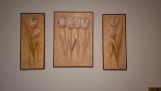 Conjunto de 3 cuadros de tulipanes