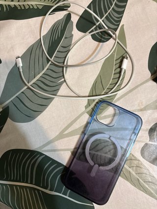 iPhone 13 100% salud + cargador