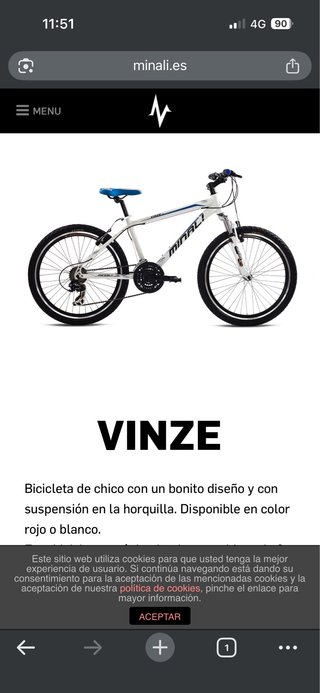 Bicicleta de montaña VINZE