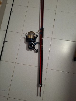 Carrete Mitchell MX 800 con caña