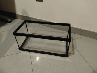 Terrario tortuga