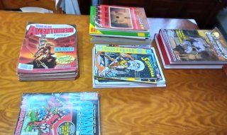 Lote de Comics Variados