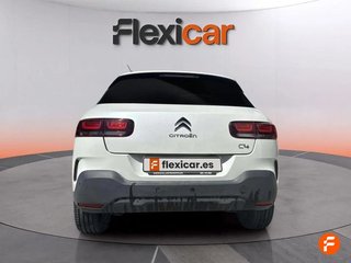 Citroën C4 Cactus BlueHDi 100 S&S Shine Pack