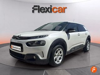 Citroën C4 Cactus BlueHDi 100 S&S Shine Pack