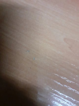 Mesa de escritorio de madera