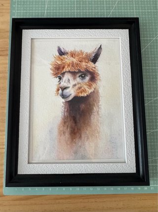 Cuadro llama pintado a mano