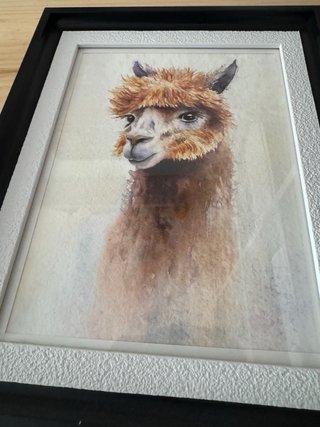 Cuadro llama pintado a mano