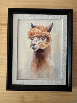 Cuadro llama pintado a mano