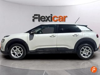 Citroën C4 Cactus BlueHDi 100 S&S Shine Pack