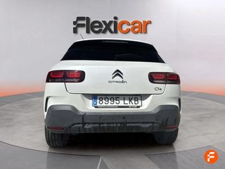 Citroën C4 Cactus BlueHDi 100 S&S Shine Pack