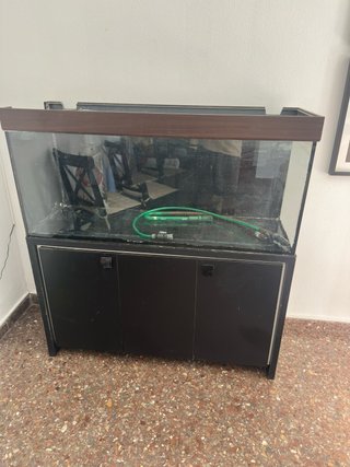 Terrario grande con mueble negro